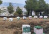 fotia alsosveikou2 1200x630.jpeg