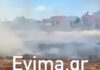 fotia evoia 1200x630.jpg