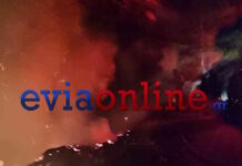 fotia evoia2 04062026 1200x630.jpg
