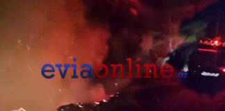 fotia evoia2 04062026 1200x630.jpg