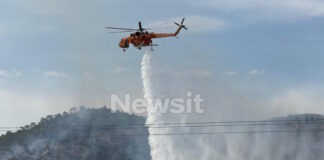 fwtia 10 1200x630.jpg