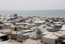 gaza 2 1200x630.jpg