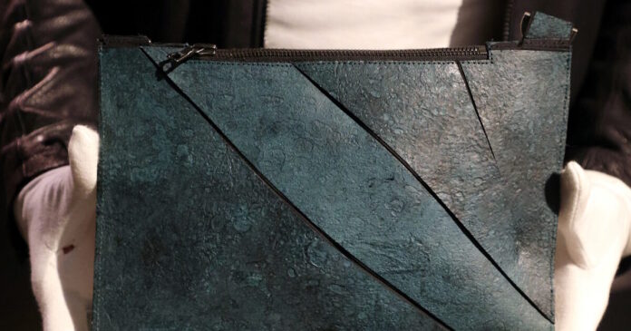 handbag tyrannosaurus1 09062026 1200x630.jpg