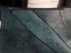 handbag tyrannosaurus1 09062026 1200x630.jpg