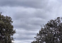 kairos 5 1200x630.jpg