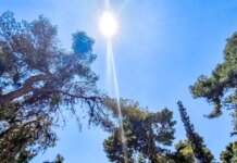 Καιρός αύριο: Αίθριος με λίγες νεφώσεις και μικρή άνοδο της θερμοκρασίας