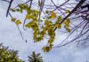 kairos1 2 1200x630.jpg
