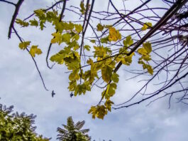 kairos1 2 1200x630.jpg