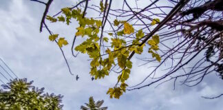 kairos1 2 1200x630.jpg