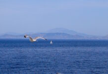 kairos2 1200x630.jpg