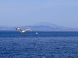 kairos2 1200x630.jpg