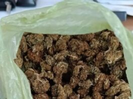 kanavvi elas 1200x630.jpg