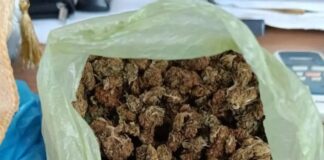 kanavvi elas 1200x630.jpg