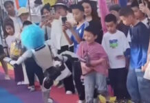 kina robot 1200x630.jpg