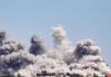 lebanon reuters 2 1200x630.jpg