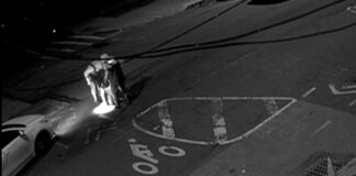 new york yponomoi2 03062026 1200x630.jpg