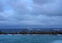 ocean 1200x630.jpg