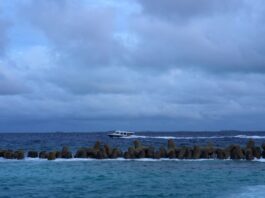 ocean 1200x630.jpg