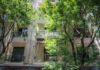 palaistinios patisia1 1200x630.jpg