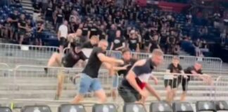 partizan dubai 1200x630.jpg