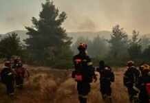 Πυροσβεστική: Τέσσερις συλλήψεις για τις φωτιές από αμέλεια σε Χαλκιδική, Θεσσαλονίκη, Βοιωτία και Λάρισα