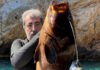polakis rofos fb 1200x630.jpg