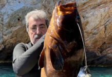 polakis rofos fb 1200x630.jpg
