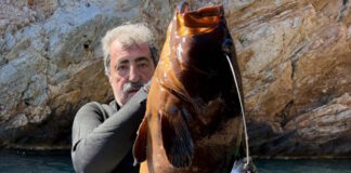 polakis rofos fb 1200x630.jpg