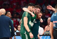 Παναθηναϊκός: Νοκ άουτ από τους τελικούς ο Νίκος Ρογκαβόπουλος, θα παίξει με ένεση ο Τσεντί Οσμάν στο 4ο παιχνίδι rogavopoulos 2 1200x630.jpg