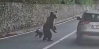 romania x 1200x630.jpg