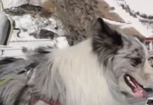 skylos kina 1 1200x630.jpg