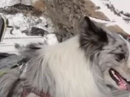 skylos kina 1 1200x630.jpg