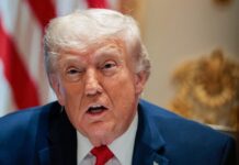 trump 1 1 1200x630.jpg