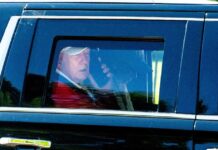 trump 1200x630.jpg