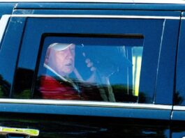 trump 1200x630.jpg