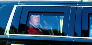 trump 1200x630.jpg