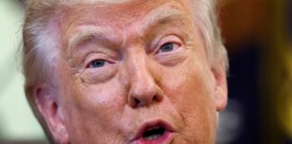 trump 2 1 1200x630.jpg