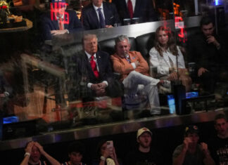 trump 6 1200x630.jpg