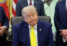 trump 7 1200x630.jpg