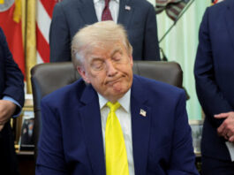 trump 7 1200x630.jpg