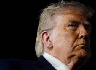trump1 1200x630.jpg