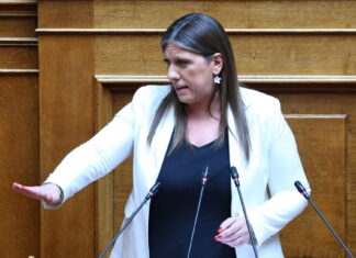 zoi konstantopoulou pleusi eleutherias vouli 1200x630.jpg