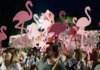 Αλβανία: Ανυπολόγιστη περιβαλλοντική καταστροφή από τις εργασίες για τη «ριβιέρα» της οικογένειας Τραμπ
