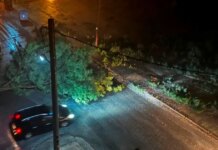 Δράμα: Ισχυρές καταιγίδες και πτώσεις δέντρων από την κακοκαιρία – Εγκλωβίστηκαν οδηγοί