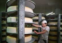 Χάθηκαν 20 τόνοι Έμενταλ ανάμεσα σε Βαυαρία και Γαλλία, πάνω από 80.000 ευρώ η αξία τους