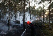 Γαλλία: Εφιαλτική νύχτα στο δάσος του Φοντενεμπλό, στάχτη 12.000 στρέμματα – 59 συλλήψεις για εμπρησμούς