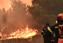 Αττική: Έκαναν χρήση τροχού και ηλεκτροσυγκόλληση εν μέσω πολύ υψηλού κινδύνου πυρκαγιάς – 4 συλλήψεις