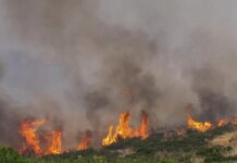Νέα φωτιά στο Κιλκίς: Ήχησε το 112 στην Κρηστώνη – Παραμείνετε σε ετοιμότητα