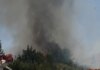 Γυναίκα συνελήφθη για πρόκληση πυρκαγιάς σε ξερά χόρτα στην Αθήνα – Άνδρας έφαγε πρόστιμο 1.312 ευρώ στη Χίο