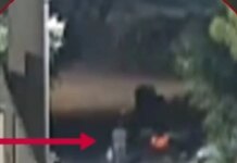 Φωτιά στην Άνοιξη: Καρέ – καρέ ο εμπρησμός από τον 50χρονο σε ξερόχορτα στην άκρη του δρόμου